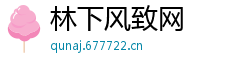 林下风致网